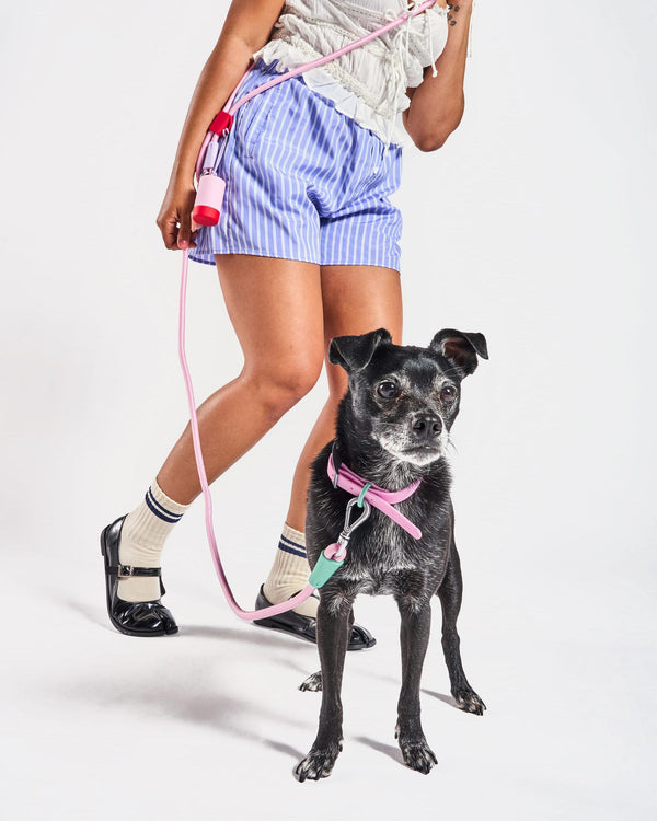 Display Stands collection