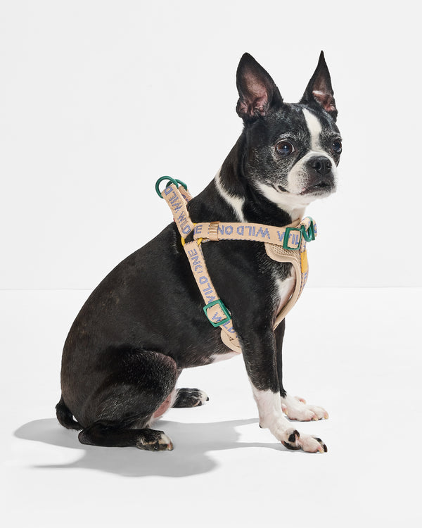 Travel Cases collection